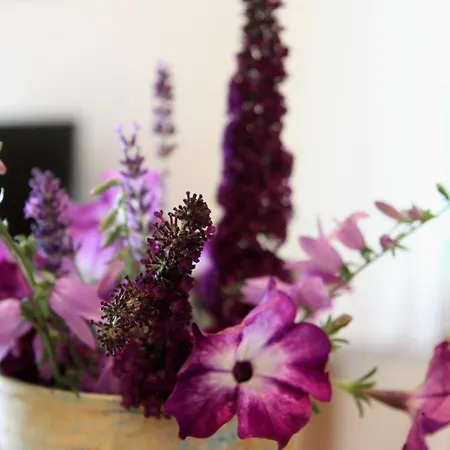 Gaestehaeusle Haag Feriehus Waldshut-Tiengen