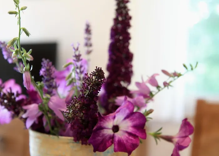 Gaestehaeusle Haag Dom wakacyjny Waldshut-Tiengen